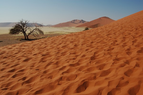 Namibia centrale, Namib Desert, duna 45